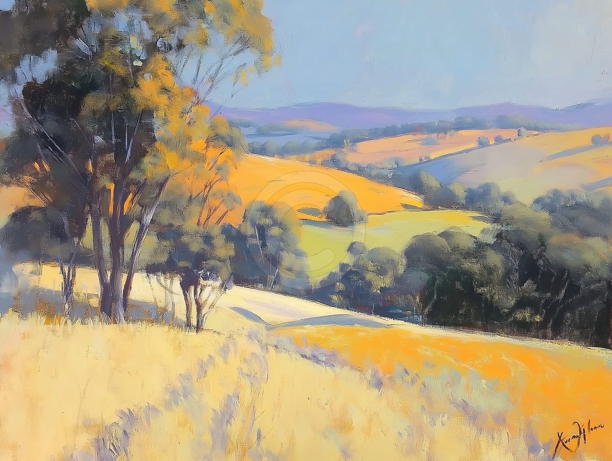 Campi ondulati sotto la luce estiva