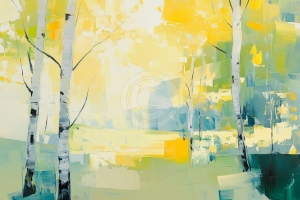 Birch Forest in Warm Light